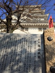 12107989_406180066259432_183654237032360002_n